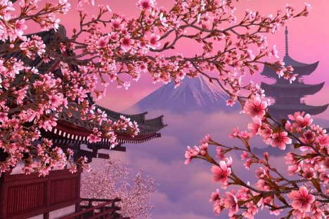 Hà Nội – Kobe – Osaka – Cố Đô Kyoto – Osaka – Hà Nội (4 Ngày 3 Đêm)