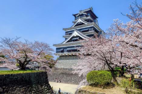 Du lịch Nhật Bản mùa hoa anh đào