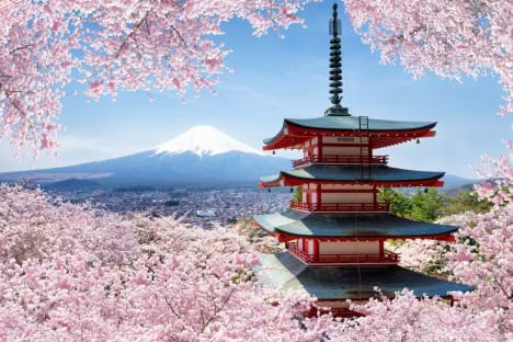 Hà Nội – Osaka – Kyoto- Tokyo – Phú Sỹ – Nagoya – Nara – Hà Nội (6 Ngày 5 Đêm)