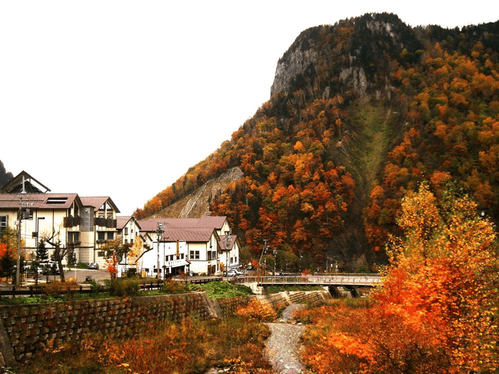 Du lịch Nhật Bản mùa lá đỏ – Nơi ta tìm về yên bình