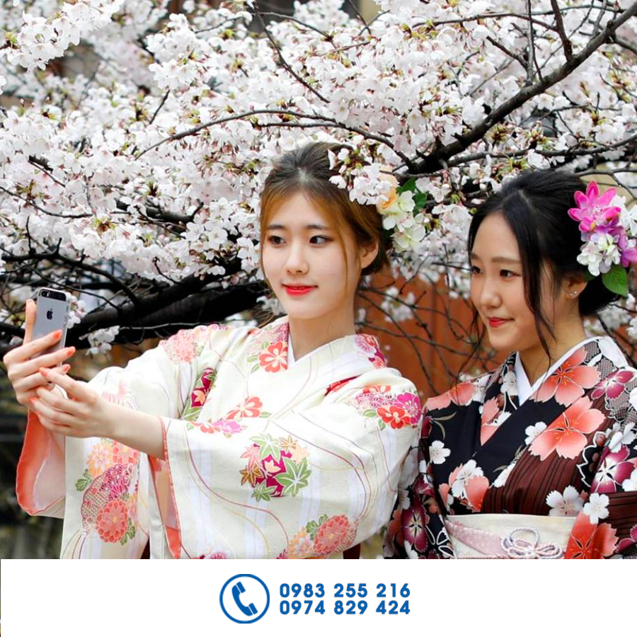 Tour Nhật Bản Ngắm Hoa Anh Đào 2019 (6N5Đ)